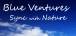 Blue Ventures Logo