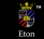 Eton Institute GmbH Logo